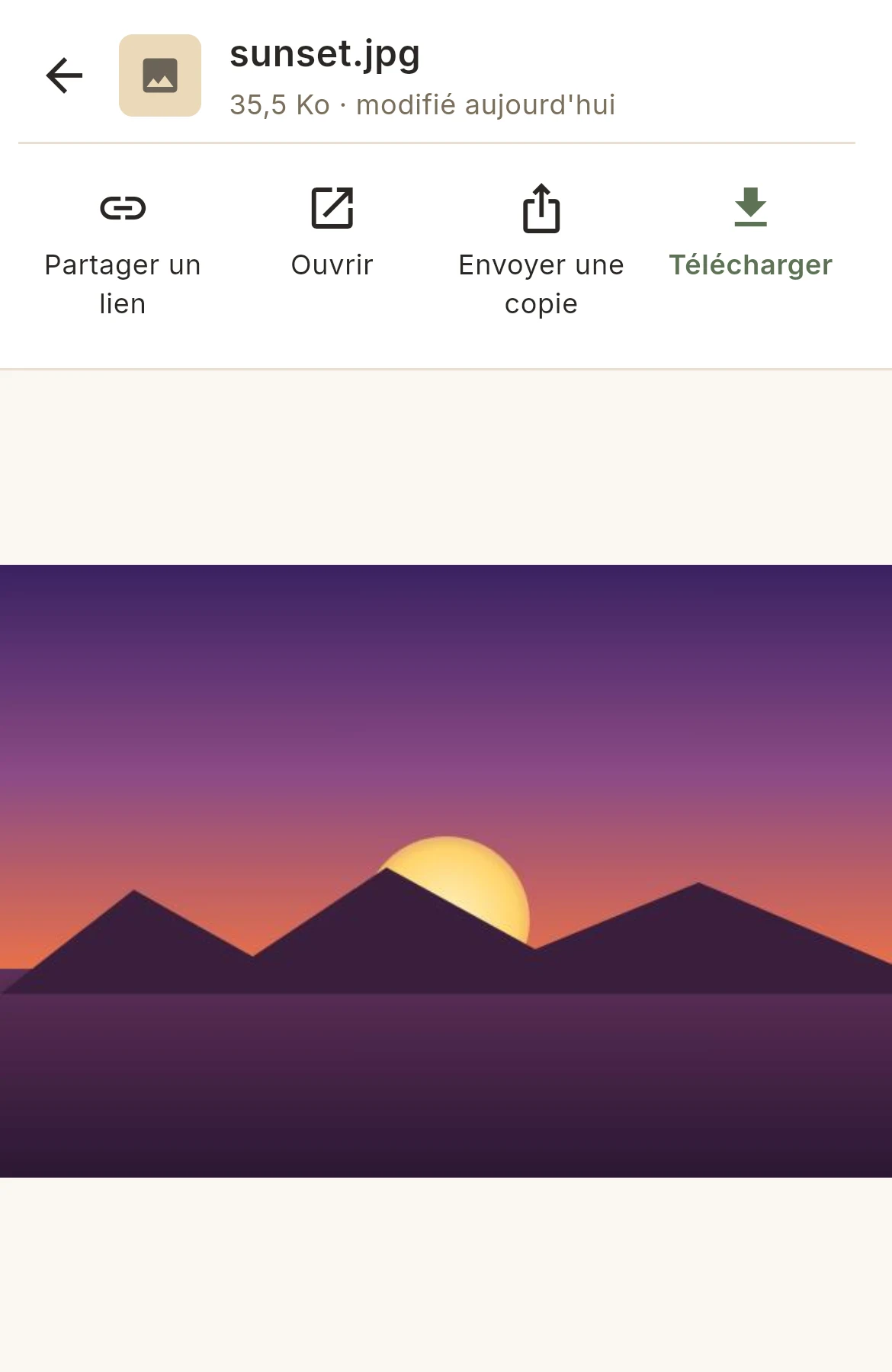 Une photo ouverte en plein écran dans l’application Mive, avec Partager, Ouvrir, Envoyer une copie et Télécharger